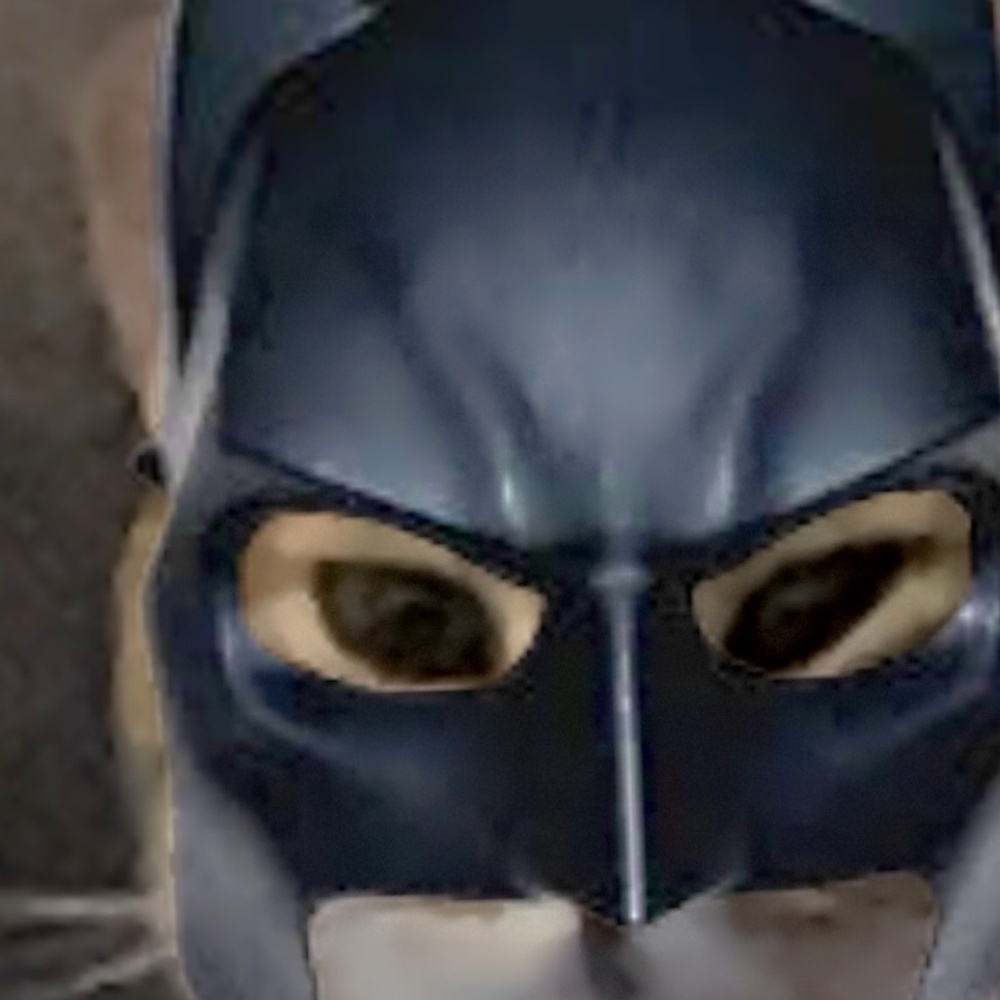 Photo of cat